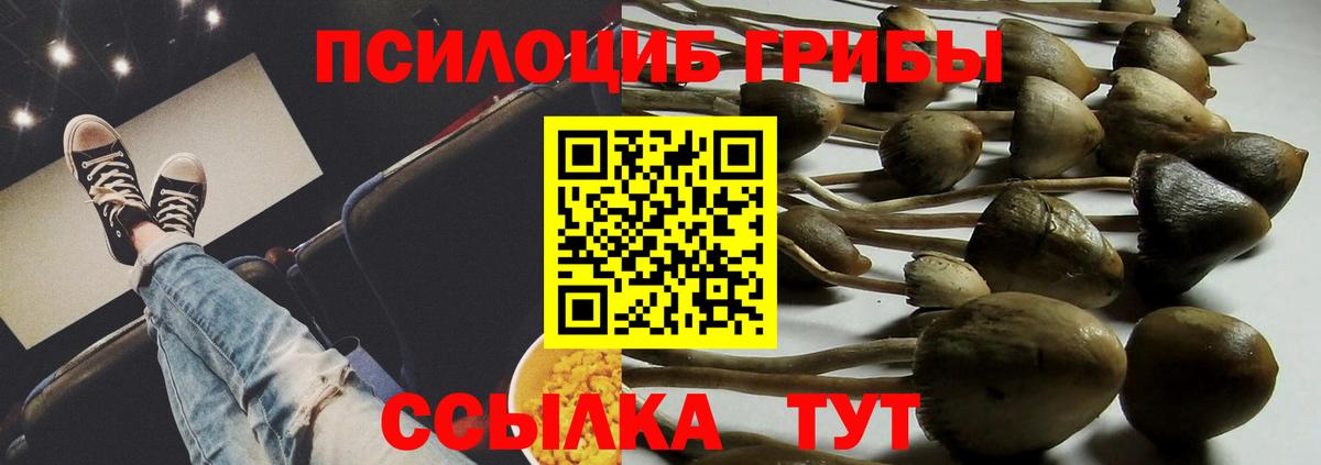 Ростов Великий  Галлюциногенные грибы мухоморы  Вход с VPN 