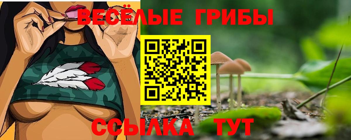 Псилоцибиновые грибы Psilocybine cubensis Ростов Великий